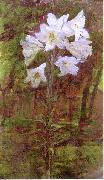 Ellen Day Hale Lilies France oil painting artist